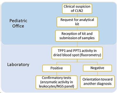 The LINCE Project: A Pathway for Diagnosing NCL2 Disease